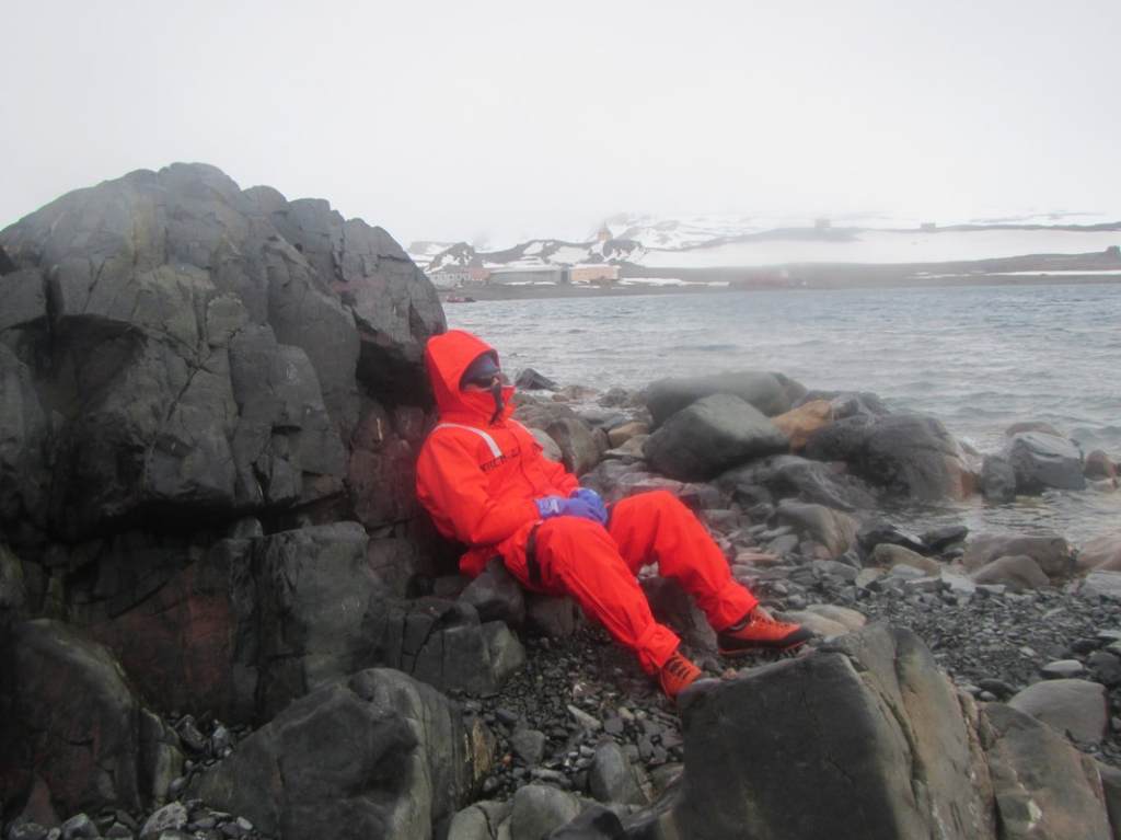 Intertidal fieldwork